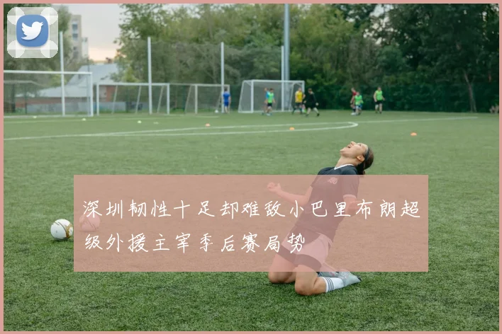 深圳韧性十足却难敌小巴里布朗超级外援主宰季后赛局势